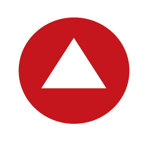 336876 Gas Detector - 336876